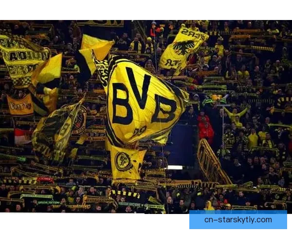 206场百胜多特德国欧冠第二家